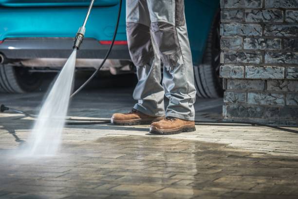 Best House Exterior Washing  in Toledo, IA